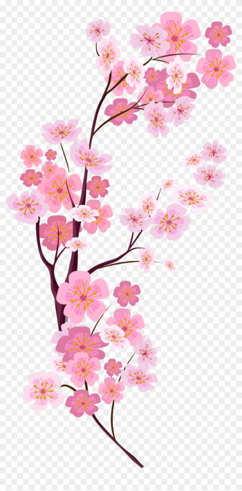 Cherry Blossom Euclidean Vector - Cherry Blossom Vector Png