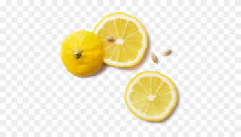 Lemon Png June Intelligent Oven • The Computer-based - Fruit Top View Png
