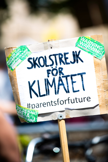 Fridays for future - global climate strike on the European elections (May 24 2019)