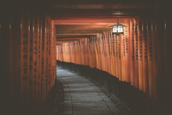We took this photo at the famous shrine in Kyoto!

If you're new to my Unsplash account and you're curious about how we can travel around the world and record sounds full-time, just follow us here on Instagram @freetousesounds because we love to talk about it and share our journey! 
If you are looking for royalty free sound recordings just visit our website www.freetousesounds.com
