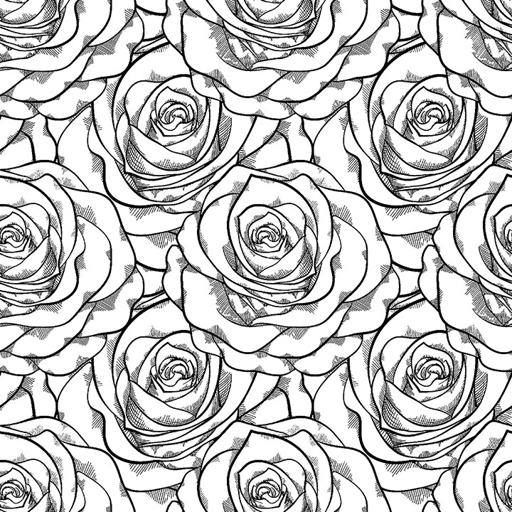 rose,pattern,roses,linear,black and white,drawn