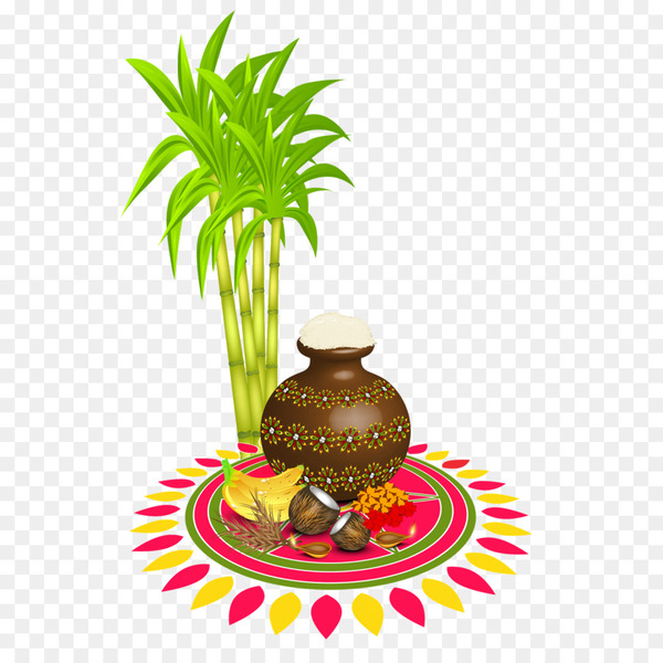 thai pongal,pongal,makar sankranti,bhogi,wish,harvest festival,festival,navaratri,greeting  note cards,lohri,new year,birthday,party,plant,food,arecales,flowerpot,tree,coconut,palm tree,fruit,png