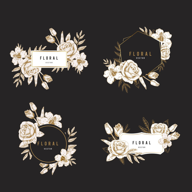 chinese rose,design space,copy space,illustrated,glamorous,copy,set,beige,blank,collection,hibiscus,banner template,floral logo,drawn,flora,black gold,beautiful,banner mockup,tulip,blossom,botanical,romantic,rectangle,brand,branch,beauty logo,banner design,emblem,natural,drawing,hexagon,creative,decoration,plant,sketch,golden,elegant,shape,graphic,floral frame,black,spring,space,chinese,banner background,hand drawn,rose,retro,black background,sticker,nature,floral background,badge,background banner,leaf,template,hand,design,gold,label,floral,mockup,frame,flower,banner,logo,background