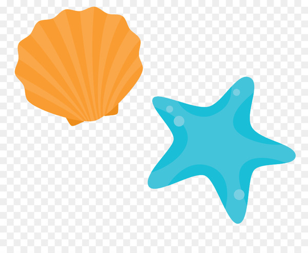 shore,seashell,sea,beach,sand,ocean,starfish,coast,mollusc shell,wind wave,orange,line,invertebrate,png