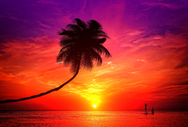 sunset,tropical,island,palm,romantic,couple,beach,tree,tranquil,red,summer,sun,sky,travel,sand,coconut,sea,water,thailand,coast,shore,orange,paradise,beautiful,silhouette,exotic,vacation,landscape,ocean,pink,colorful,resort,yellow,asia,evening,twilight,lagoon,getaway,sundown,samui,destination,cloud,horizon,scenery,dusk,recreation,bounty,caribbean,love,kiss,honeymoon,holiday,romance,happy,lovers,sunshine,togetherness,valentine,nature,marriage,wave,happiness,people,woman,man,two,relationship,together,seychelles,legs,maldives,wedding,young,girl,embrace,shine,newlywed,male,married,hugs,female,rays,lifestyle,gold,idyllic,concepts,night,lover,villa,valentines,landmark,wife,shadow,tourist,smile,friend,traveler,coco,marry,hotel,hug,abstract,bouquet,perfect,date,dream,flower,sweetheart,champagne,gentle,tourism,sandy,pristine,tahiti,bora,hawaii,fiji,bali,palau,pacific,indian,dawn,heart,sunlight,wallpaper,passion,sunrise,anniversary,saint,dating,raster,shape,illustration,affectionate,background,party,cayo,cuba