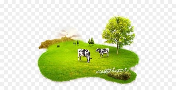 gyr cattle,cattle,milk,powdered milk,encapsulated postscript,cow  gate,dairy,baby formula,food,cows milk,dairy cattle,a2 milk,lawn,meadow,nature,farm,energy,tree,plant,illustration,landscaping,computer wallpaper,green,land lot,graphics,grassland,pasture,grass,landscape,png