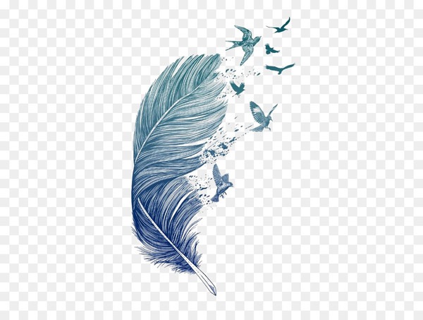 bird,feather,flight,bird flight,flight feather,wing,tattoo,printmaking,hummingbird,printing,art,flock,drawing,arrow,organism,quill,beak,png