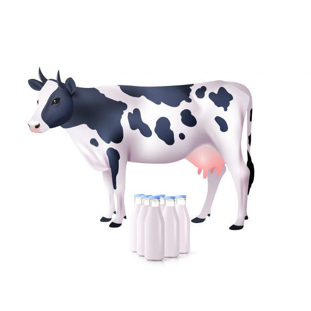 nutritious,mammal,grazing,nutrient,freshness,spotted,domestic,calf,livestock,full,tasty,standing,cattle,bottles,realistic,set,dairy,collection,object,beverage,icon set,meal,farm animals,container,liquid,fresh,cream,traditional,cold,symbol,eat,decorative,emblem,healthy,elements,natural,drink,glass,bottle,cow,white,animals,milk,black,art,icons,health,farm