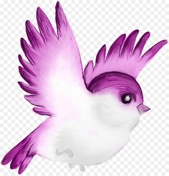 watercolor,paint,wet ink,bird,wing,feather,violet,purple,beak,rock dove,parrot,png