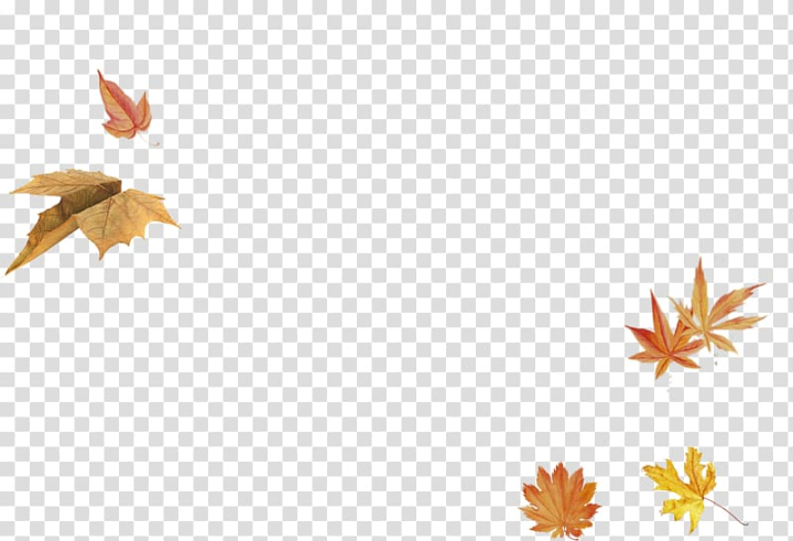 maple,leaf,orange,triangle,computer wallpaper,banner,material,encapsulated postscript,leaf border,leafs,autumn leaf,banner material,palm leaf,petal,tea leaf,tree,autumn,line,leaf and petals,green leaf,euclidean vector,elements,autumn leaf color,autumn elements,yellow,maple leaf,png clipart,free png,transparent background,free clipart,clip art,free download,png,comhiclipart