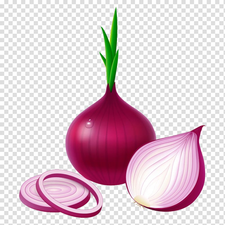 potato,onion,red,white,food,happy birthday vector images,cartoon,magenta,onion rings,scallion,vegetables,onion ring,green onion,onion slice,still life photography,stock illustration,stock photography,cartoon onion,ingredient,onion genus,petal,plant,purple onions,yellow onion,potato onion,red onion,vegetable,garlic,white onion,onions,sticker,png clipart,free png,transparent background,free clipart,clip art,free download,png,comhiclipart