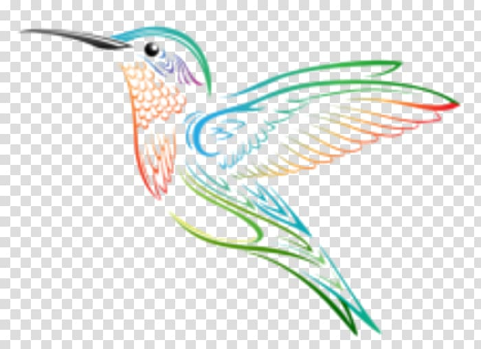 hummingbird,animation,fauna,cartoon,bird,desktop wallpaper,royaltyfree,feather,pollinator,wing,pinterest drawing,organism,hum,graphic design,beak,колибри,png clipart,free png,transparent background,free clipart,clip art,free download,png,comhiclipart