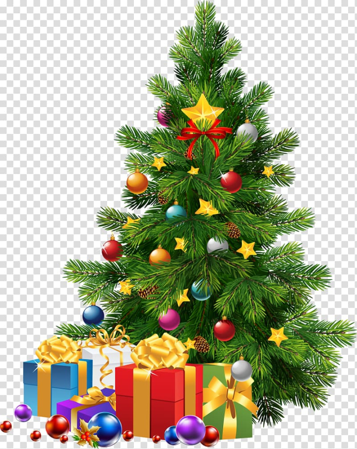 christmas,tree,ornament,holidays,decor,christmas decoration,desktop wallpaper,christmas lights,christmas card,spruce,holiday,pine,pine family,gift,fir,evergreen,artificial christmas tree,conifer,christmas tree cultivation,tree farm,christmas tree,christmas ornament,art - christmas,png clipart,free png,transparent background,free clipart,clip art,free download,png,comhiclipart