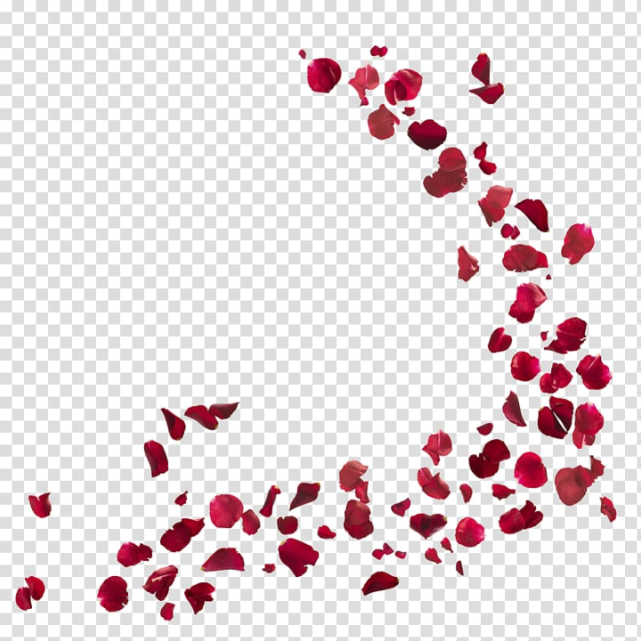 royalty,rose,petals,love,text,heart,magenta,royaltyfree,istock,nature,rose petals,red,point,valentine s day,stock photography,petal,flower,background,template,png clipart,free png,transparent background,free clipart,clip art,free download,png,comhiclipart