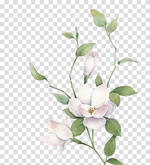 mo,li,hua,flowers,magnolia,flower,flower arranging,branch,decorative,plant stem,twig,cartoon,material,lilac,leaves,petal,pixel,nature,pink flower,plant,rgb color model,seed plant,still life photography,watercolor flower,watercolor flowers,white vector,flowering plant,magnolia family,computer software,cut flowers,decorative material,flora,floral design,flower bouquet,flower pattern,flower vector,flowers vector,green,green leaves,blossom,jasmine,mo li hua,white,png clipart,free png,transparent background,free clipart,clip art,free download,png,comhiclipart