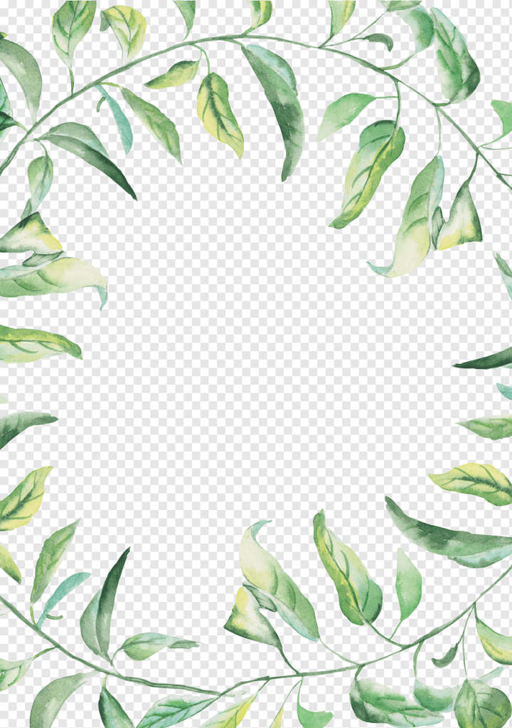 border,watercolor Leaves,leaf,branch,color,border Frame,plant Stem,grass,summer,certificate Border,flower,painting,picture Frames,design,leaves,pattern,summer Border,tree,watercolor,watercolor Border,watercolor Flower,watercolor Flowers,plant,nature,line,flora,floral Border,floral Design,flowering Plant,font,graphics,handdrawn,handdrawn Border,illustration,ivy,leaves The Border,area,Watercolor painting,Drawing,Green,png,transparent,free download,png
