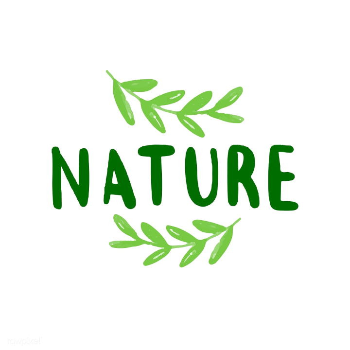 all natural,bio,clean,design,drawn,earth,eco,eco organic,ecology,environment,environment friendly,environmental,font,food,fresh,friendly,go green,green,handwritten,health,healthy,hundred,illustrated,illustration,label,letter,lettering,logo,logotype,natural,nature,organic,package,packaging,percent,plant,plant based,product,sign,style,text,typographic,typography,vector,vegan,white,white background,word