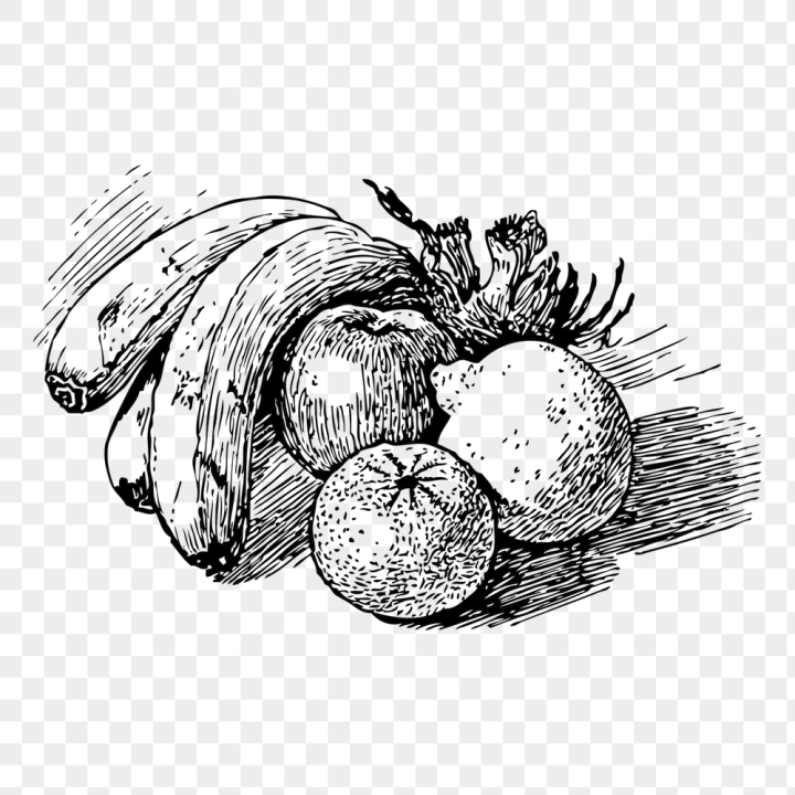 food,illustrations,free,black and white,fruits,sticker,drawing,collage,rawpixel,vintage,public domain,collage element,png