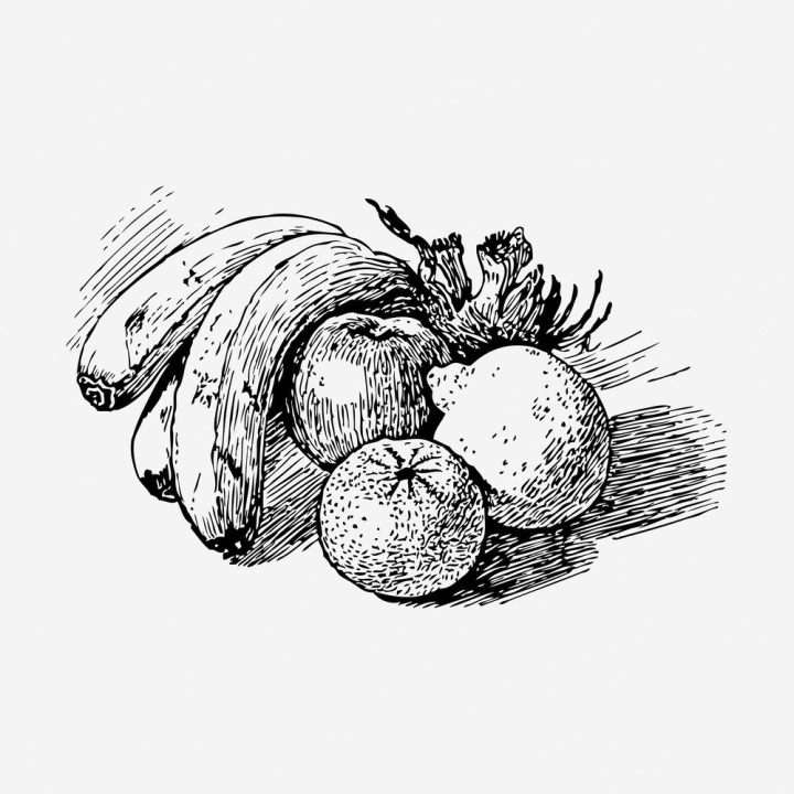 vintage,public domain,illustrations,fruits,food,free,black and white,drawing,graphic,design,sketch,diet,rawpixel