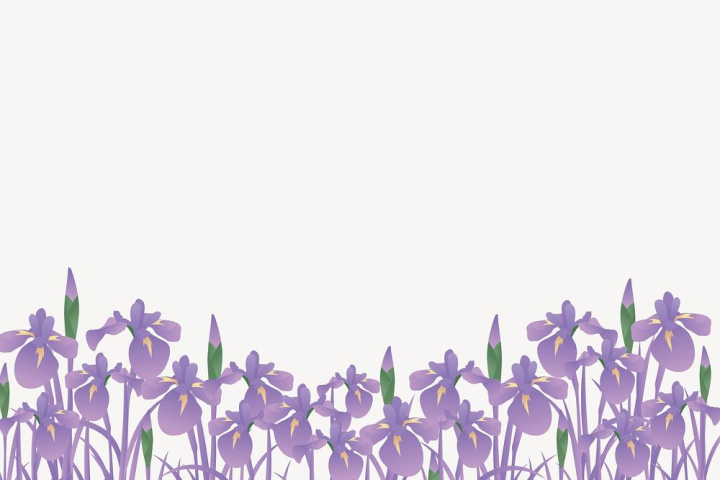 flower,public domain,border,floral,illustrations,purple flower,vector,free,colour,graphic,design,blossom,rawpixel
