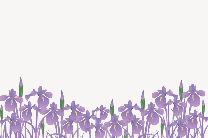 flower,public domain,border,floral,illustrations,purple flower,free,colour,graphic,design,blossom,design element,rawpixel