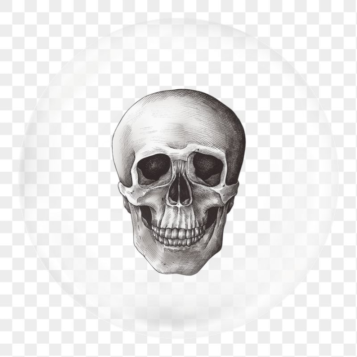 png,badge,in bubble,skull,sticker png,sticker,circle,illustration,vintage,halloween,face,rawpixel,collage