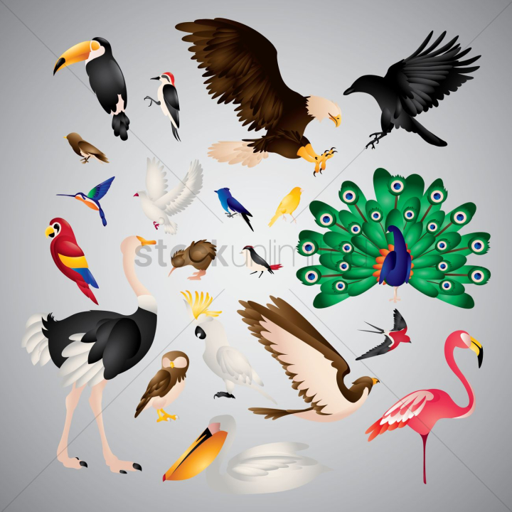 icon,icons,abstract,set,sets,collection,collections,animal,animals,plumage,feathers,diurnal,nocturnal,wild,birds,bird,animals,wildlife,long bill,beak,beaks,wings,wing,flying,water bird,pet,pets,domestic,omnivorous,carnivorous,carnivor,toucan,red bellied woodpecker,red headed,eagle,eagles,hawk,hawks,animal,crow,crows,raven,ravens,birds,corvus frugilegus,white crowned sparrow,sparrow,sparrows,bird,hummingbird,rufous,red billed gull,mackerel gull,bluebird,blue jay,yellow canary,songbird,songbirds,scarlet macaw,parrot,parrots,brown,kiwi,peacock,peacocks,peafowl,dancing,ostrich,ostriches,owl,owls,cockatoo,sulphur crested,flamingo,flamingoes,swallow,swallows,swift bird,pelican,pelicans,frugivorous,compilation,compilations