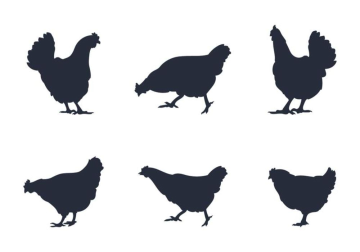 Back to List of 4270 Rooster Silhouette Fighting Rooster Svg SVG PNG EPS DX...