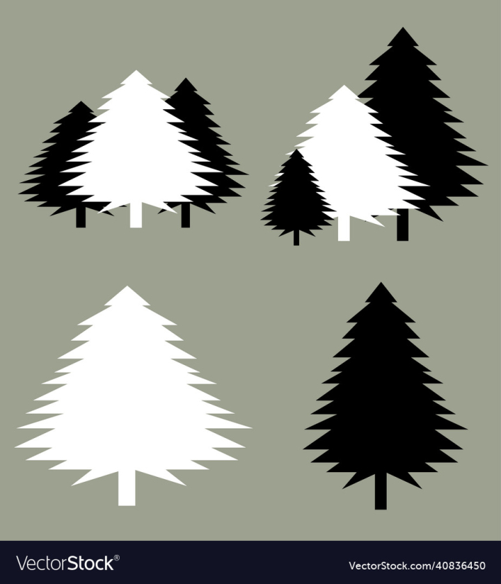 Christmas,Tree,Trees,Set,Vector,Pine,Silhouette,Forest,Fir,Decoration,Xmas,Celebration,Holiday,Illustration,Green,Nature,Winter,White,Black,Snow,Season,Card,Symbol,Icon,Design,Pattern,Year,New,vectorstock