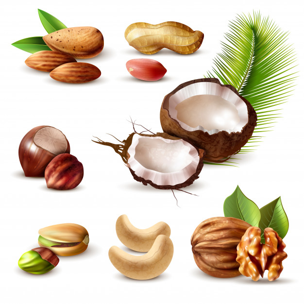 filbert,ripe,hazel,nutshell,raw,peel,cashew,pistachio,dry,crop,hard,hazelnut,protein,walnut,realistic,set,almond,harvest,vitamin,vegetarian,peanut,nut,seed,snack,nuts,shell,eating,nutrition,diet,brown,healthy,coconut,agriculture,natural,plant,shape,3d,leaves,icons,fruit,green,food