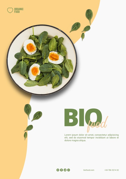 biofood,boiled,boiled egg,tasty,spinach,delicious,vegetarian,bio,vegan,dish,eating,nutrition,lunch,diet,salad,eat,dinner,egg,organic,eco,photo,template,food,poster,flyer,brochure