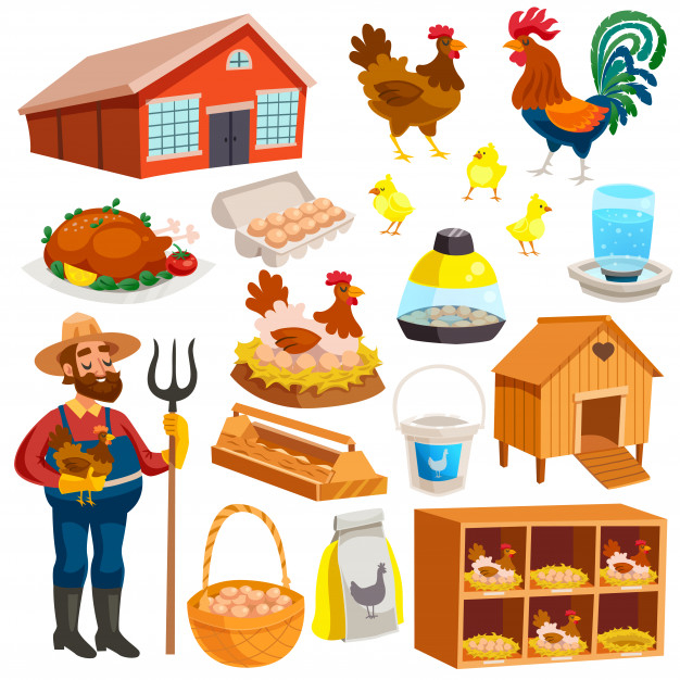 avian,roost,cockerel,feeder,fowl,coop,pitchfork,owner,livestock,poultry,feed,rural,set,countryside,barn,collection,chick,hen,production,cock,dish,wooden,basket,village,decorative,rooster,vegetable,product,farmer,agriculture,egg,elements,meat,yellow,feather,icons,chicken,farm,animal,bird,house,wood,business,food