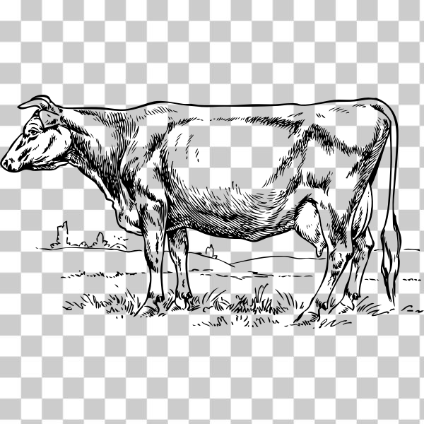 line-art,drawing,svg,animal,farm,Working animal,bovine,livestock,Pasture,cattle,freesvgorg,externalsource,milk,Cow-goat family,Ox,Coloring book,Cow,Dairy cow