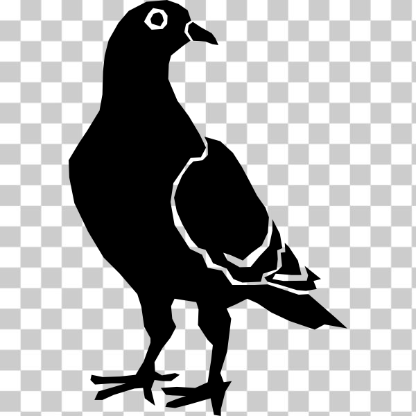 Pigeons and doves,svg,crow,Crow-like bird,contour,freesvgorg,illustration,dove,pigeon,bird,Rock dove,raven,beak