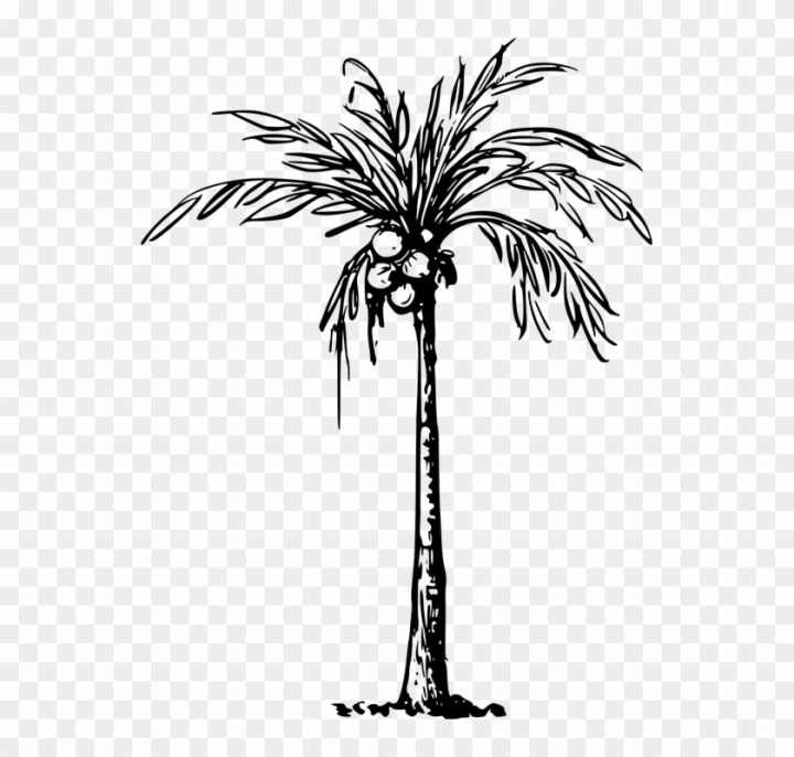 background,summer,symbol,coconut oil,painting,fruit,set,sun,sun clip art,pineapple,seasons of the year,coconut tree,paint,coconut leaf,trees,coconut trees,vintage,coconut drink,lion clip art,drawing,palm tree,music,flower,artist,people,retro,wood,pencil,tree,graphic,family tree,art gallery,pattern,art deco,forest,pop art,palm sunday,art design,house,element,png,comclipartmax