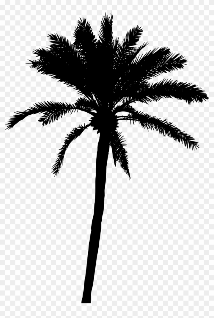 palm tree,food,silhouette,gold,illustration,black and white,trees,african,isolated,pattern,nature,black arrow,design,black horse,flower,male,tree,animal,wood,people,leaf,symbol,family tree,sign,palm sunday,wild,forest,people silhouette,tropical,woman silhouette,house,man silhouette,hand,head silhouette,leaves,flying bird silhouette,natural,girl silhouette,plant,oil,png,comclipartmax