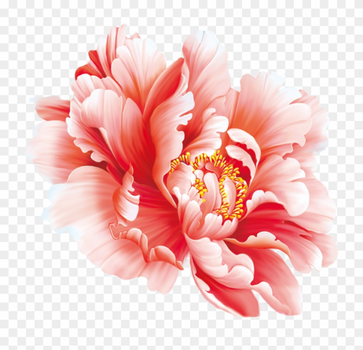 flower,china,peonies,oriental,water color,chinese new year,hydrangea,asian,nature,traditional,dahlia,culture,watercolor flowers,asia,tulip,element,paint,cloud,poppy,design,summer,symbol,splash,floral,water,arrows in vector,water splash,dirty,watercolor floral,fish in water,wreath,illustration,season,fill in,spring,brush,watercolour,message in a bottle,drawing,rose,png,comclipartmax